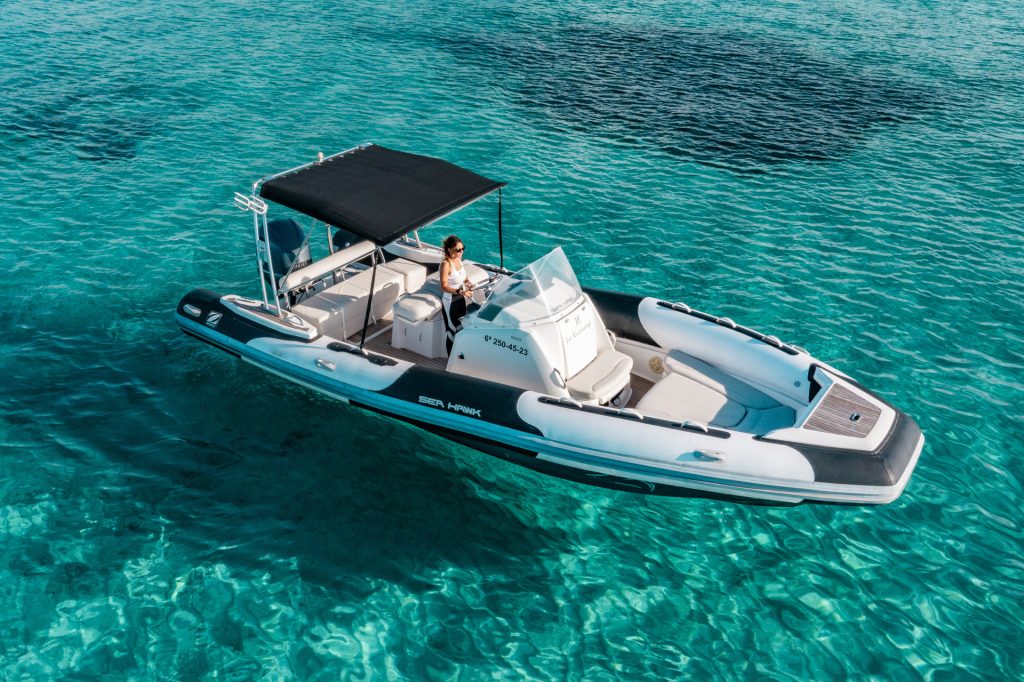 Zodiac International Sea Hawk 800
